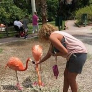 Meet your Posher, Lisa